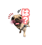 えるみらん家（個別スタンプ：3）