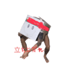 だんぼーるマン（個別スタンプ：8）