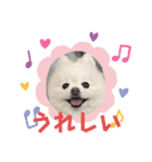 ぷぷスタンプ！（個別スタンプ：1）