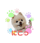 ぷぷスタンプ！（個別スタンプ：13）