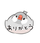 冬のふくふく文鳥（個別スタンプ：4）