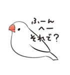 冬のふくふく文鳥（個別スタンプ：13）