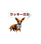 いぬ イヌ 犬2（個別スタンプ：19）