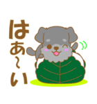 わんこ日和(ミニシュナ)-toYvu-（個別スタンプ：14）