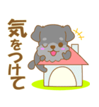 わんこ日和(ミニシュナ)-toYvu-（個別スタンプ：19）