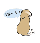 Dogs まったりな犬たち 3（個別スタンプ：9）