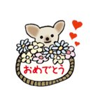 Dogs まったりな犬たち 3（個別スタンプ：20）