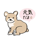 Dogs まったりな犬たち 3（個別スタンプ：39）