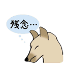 Dogs まったりな犬たち 3（個別スタンプ：40）