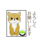 動く☆ シンプルあいさつ 犬のスタンプ（個別スタンプ：4）