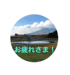 東北の秋（個別スタンプ：11）