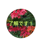 東北の秋（個別スタンプ：15）