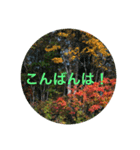 東北の秋（個別スタンプ：16）
