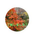 東北の秋（個別スタンプ：20）