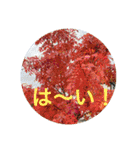 東北の秋（個別スタンプ：22）