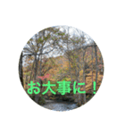 東北の秋（個別スタンプ：23）