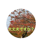 東北の秋（個別スタンプ：28）