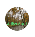 東北の秋（個別スタンプ：29）