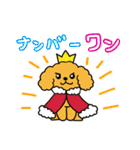 わんこっぽいことばスタンプ（個別スタンプ：1）