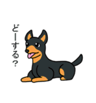 わんこっぽいことばスタンプ（個別スタンプ：4）