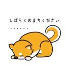 わんこっぽいことばスタンプ（個別スタンプ：5）