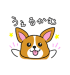わんこっぽいことばスタンプ（個別スタンプ：9）
