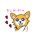 わんこっぽいことばスタンプ（個別スタンプ：12）