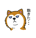 わんこっぽいことばスタンプ（個別スタンプ：31）