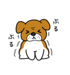 わんこっぽいことばスタンプ（個別スタンプ：34）