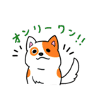 わんこっぽいことばスタンプ（個別スタンプ：39）