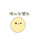 可愛いひよこちゃんの日常3（個別スタンプ：20）