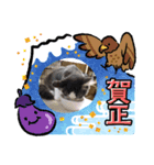 猫は気まま2（個別スタンプ：1）