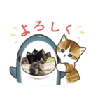 猫は気まま2（個別スタンプ：8）