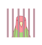 無言のゆるいコザクラインコ（個別スタンプ：23）