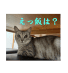 むぎたんゆきたん4（個別スタンプ：2）