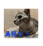 むぎたんゆきたん4（個別スタンプ：5）
