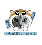 むぎたんゆきたん4（個別スタンプ：9）