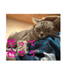 むぎたんゆきたん4（個別スタンプ：11）
