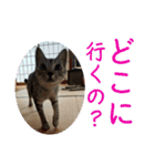 むぎたんゆきたん4（個別スタンプ：21）