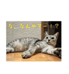 むぎたんゆきたん4（個別スタンプ：26）