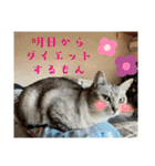 むぎたんゆきたん4（個別スタンプ：30）