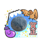 むぎたんゆきたん4（個別スタンプ：31）