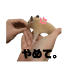 キンクマハムスターのごんた（個別スタンプ：14）