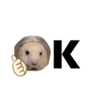 キンクマハムスターのごんた（個別スタンプ：15）