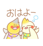 寒い日のなかよしオカメインコさん（個別スタンプ：3）