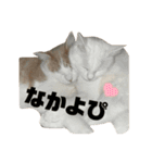うにもこスタンプ2（個別スタンプ：1）