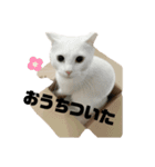 うにもこスタンプ2（個別スタンプ：14）