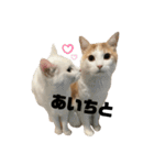 うにもこスタンプ2（個別スタンプ：16）