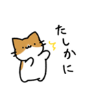 音楽室のねこ（会話、たまにあばれる）（個別スタンプ：25）