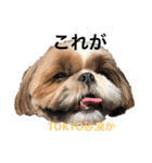 空気食う犬（個別スタンプ：9）